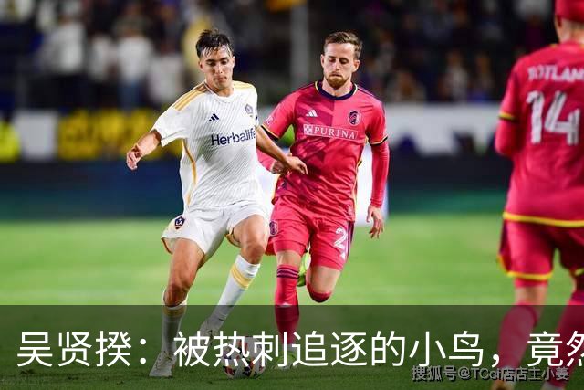 吴贤揆：被热刺追逐的小鸟，竟然被老鹰收回了！