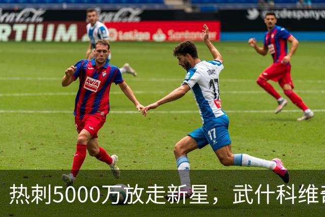 热刺5000万放走新星，武什科维奇无缘一线队舞台